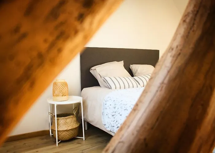 Tatil Evi L'oree Du Marais